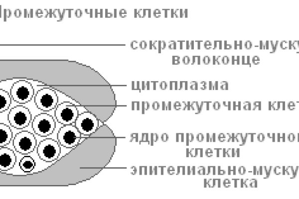 Как попасть на кракен