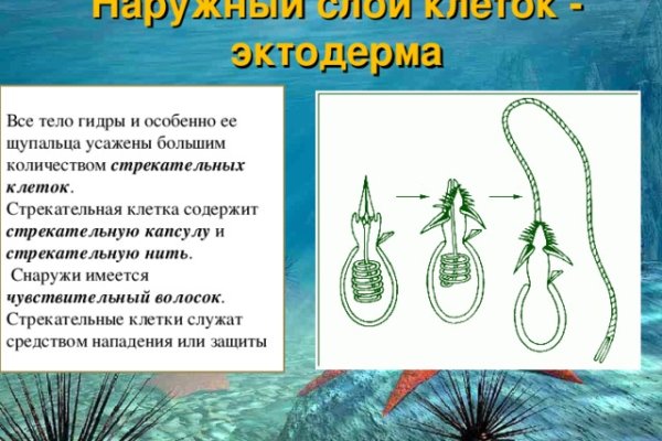 Ссылки на даркнет сайты