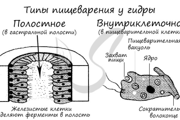 Кракен ссылка замена