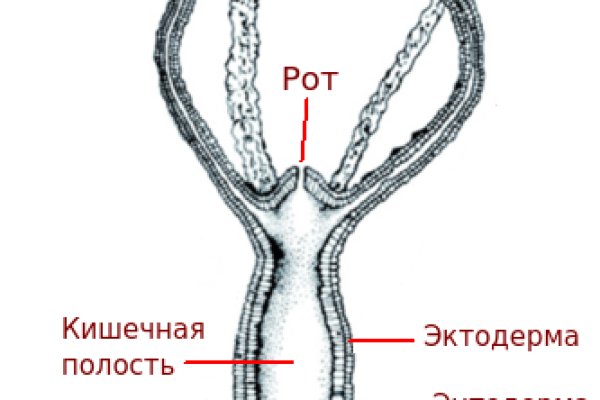 Кракен ссылка 2web krakendark link