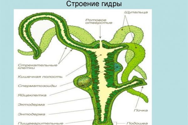 Кракен магазин зеркало