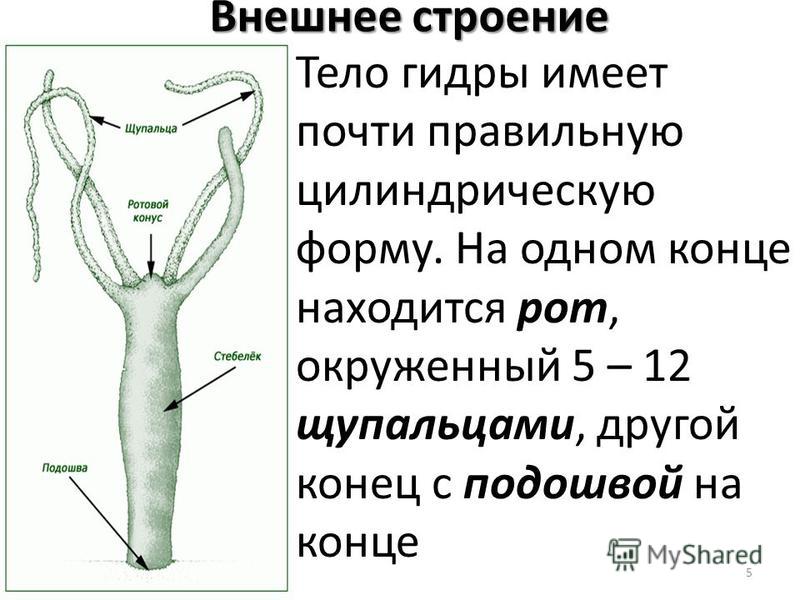 Кракен официальная ссылка зеркало